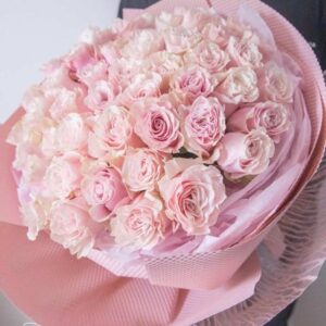 52 premium pink roses in pink