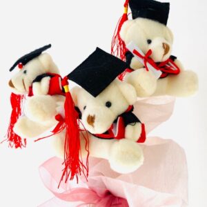 Graduation Teddy Mini Bear