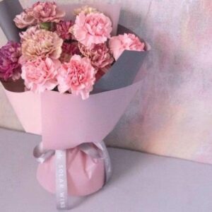 Mix carnation 400h x 300 w