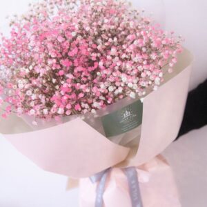 Pink babyâ€™s breath