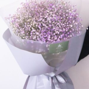 Purple Baby's Breath