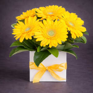 Bright Yellow Gerbera Bouquet in Gift Box –