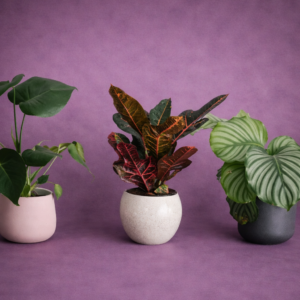 Florist's Seasonal Surprise –