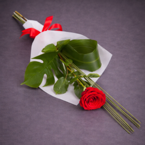 Elegant Red Rose with Green Accents –
