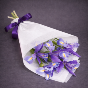 Purple Irises in Satin and Cellophane –