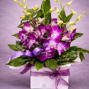 Purple Orchid Elegance in a Gift Box –