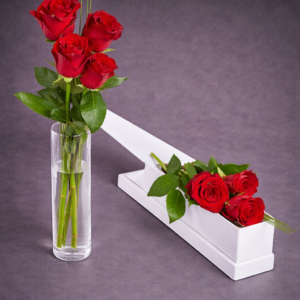 Elegant Red Rose Display –