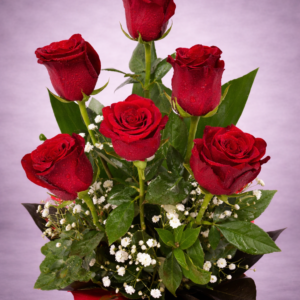 Red Roses with Dew Drops –