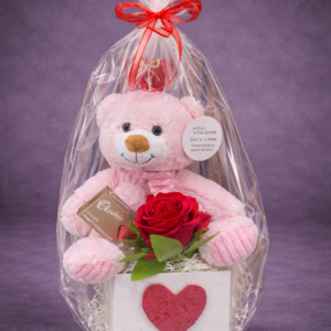 Soft Toy and Rose Gift Set –