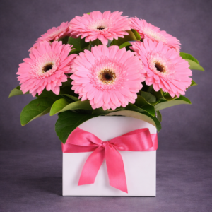 Vibrant Gerbera Daisies in a Gift Box –
