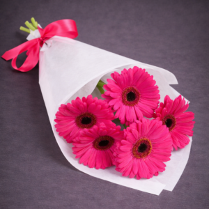 Vibrant Pink Gerbera Daisies Bouquet –